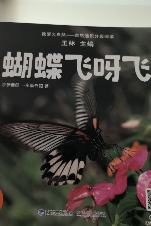 蝴蝶飛呀飛