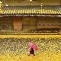 小涵3723280852
