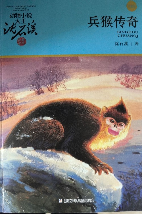 兵猴传奇