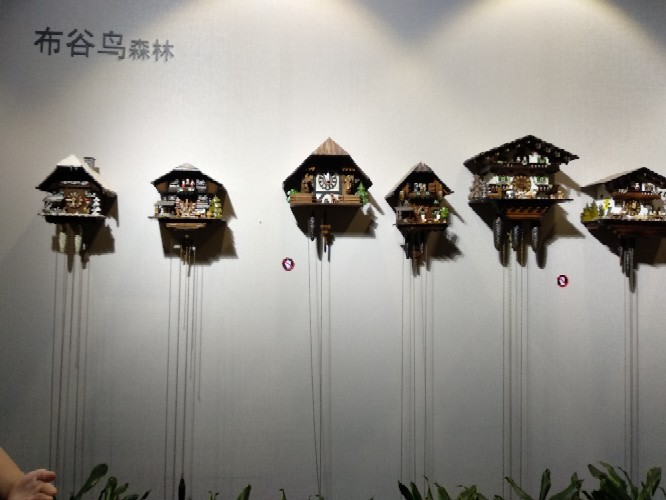 二升三暑假总结20