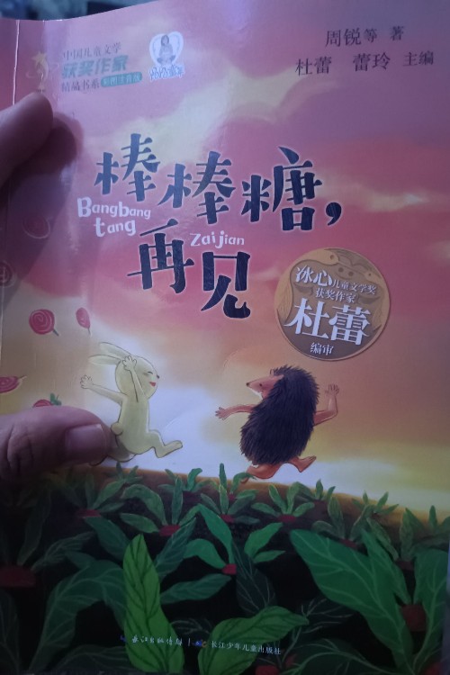 棒棒糖, 再見