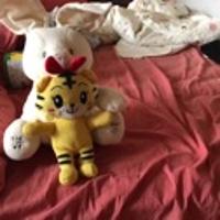 Bunny wu
