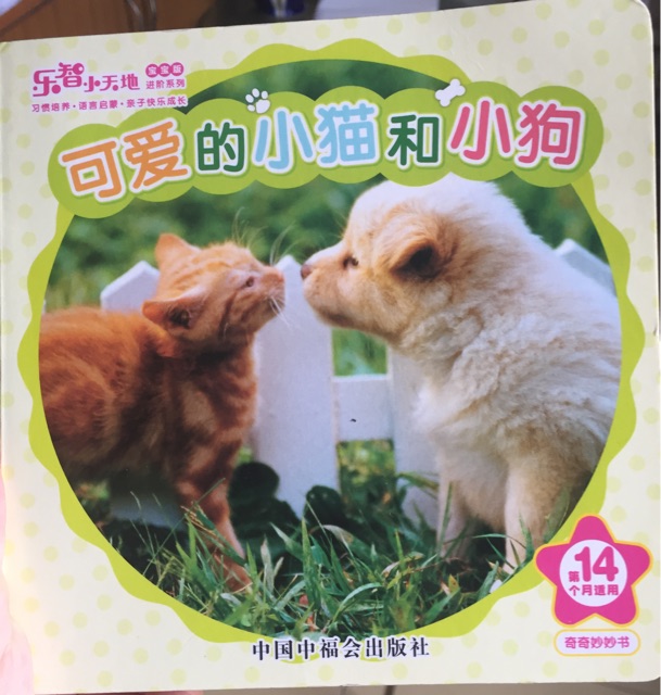 可愛的小貓和小狗