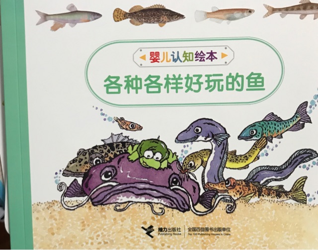 各種各樣好玩的魚