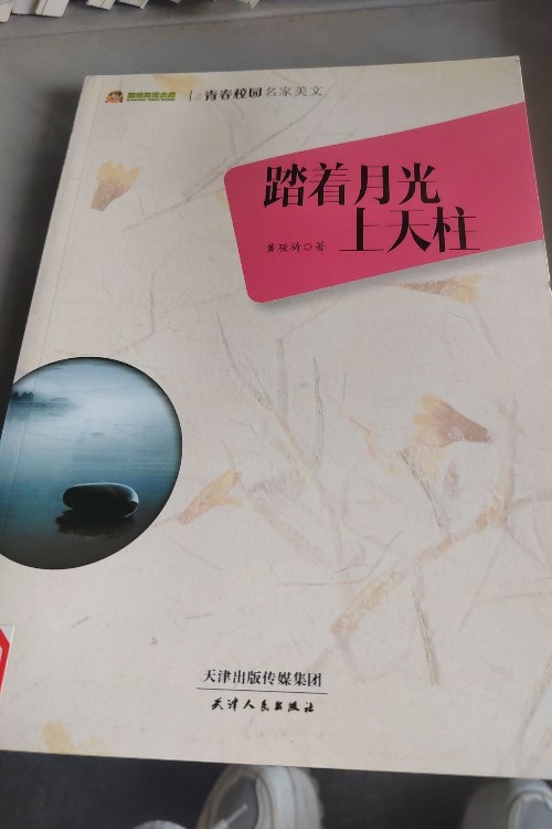 踏著月光上天柱