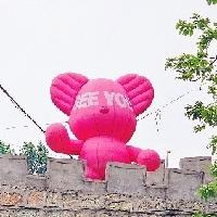 嗨嗨寶