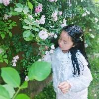 七七Sylvia