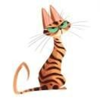 ?? ??