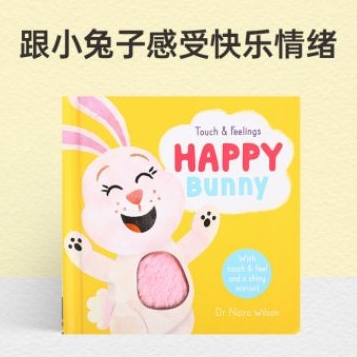 Touch and Feelings Happy Bunny