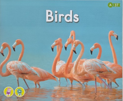 Heinemann Gk-37: Birds