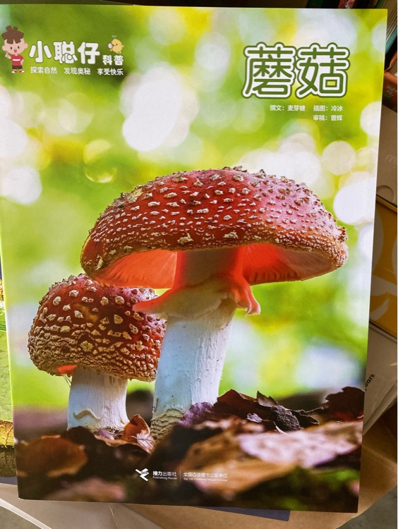 小聰仔科普版2022.06蘑菇