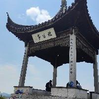 閱讀打卡試試看