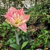 雅雅讀書記錄