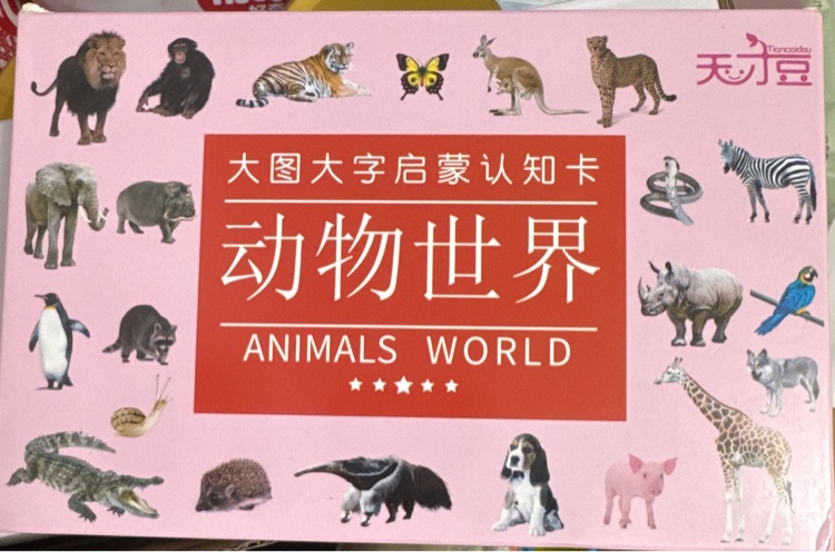 動(dòng)物世界