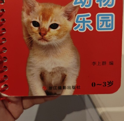 數(shù)數(shù)_ 寶貝早教益智認(rèn)知卡