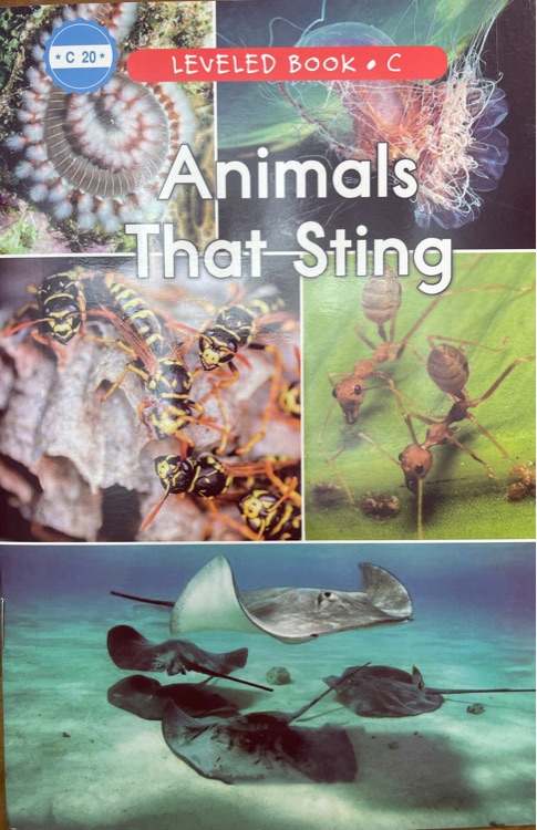 20 Animals That Sting (RAZ C)