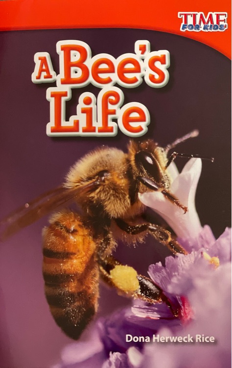 TIME FOR KIDS Grade 1: A Bee's Life