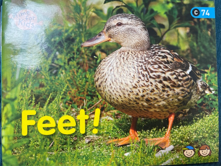 Heinemann Gk-74: Feet!