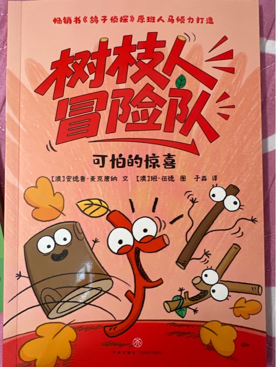 樹枝人冒險(xiǎn)隊(duì)