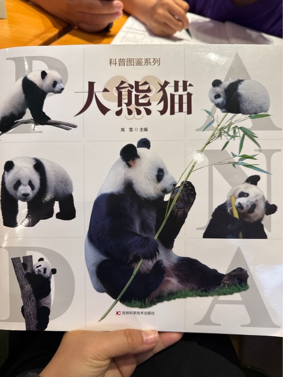 大熊貓