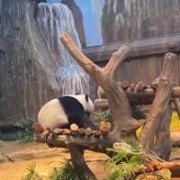moonyao