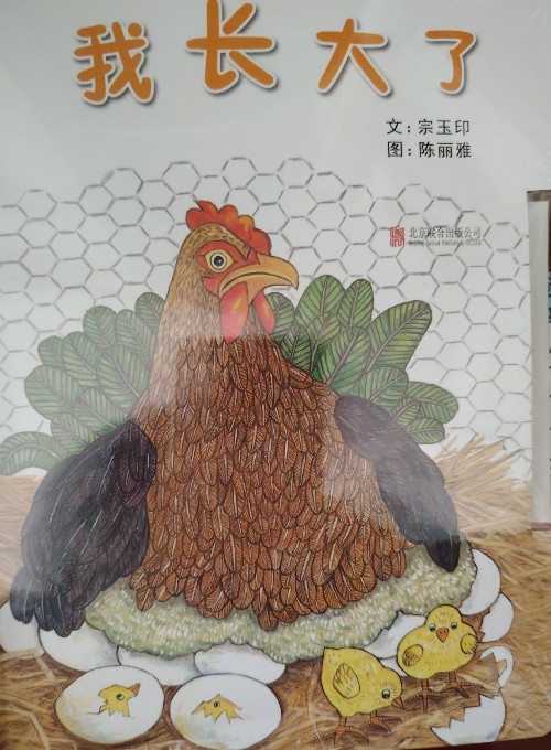 我長(zhǎng)大了