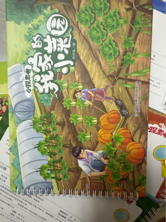 我家的小菜園