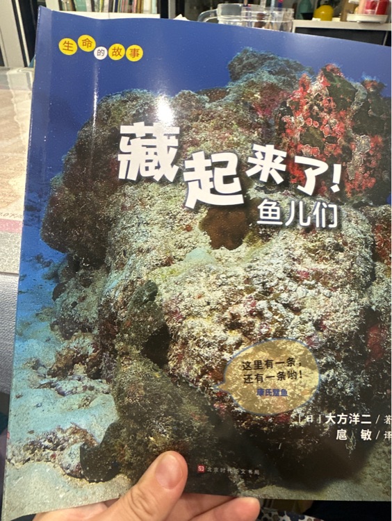藏起來了魚兒們