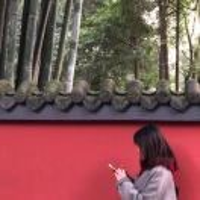 巴巴爸爸27474972
