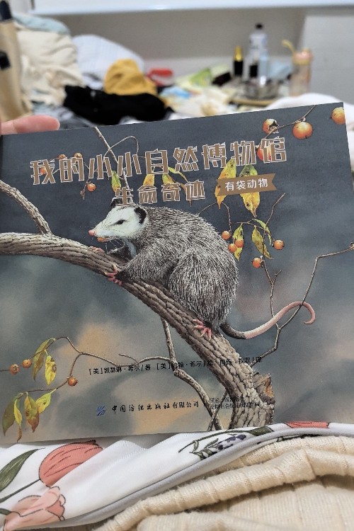 我的小小自然博物館生命奇跡有袋動(dòng)物