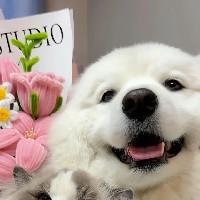 莫聰慧