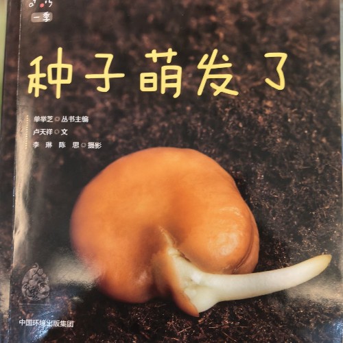 一季系列—種子萌發(fā)了