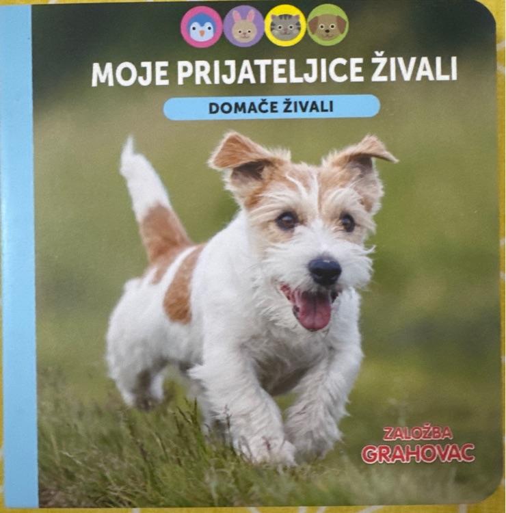 MOJE