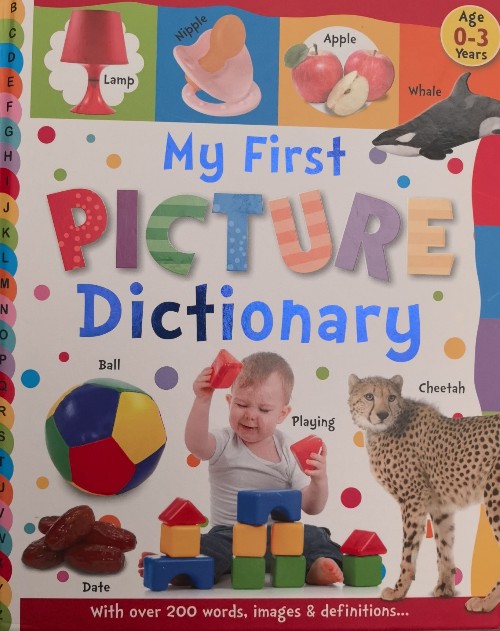 My first PICTURE Dictionary