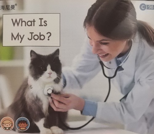 Heinemann Gk-98: What Is My Job?