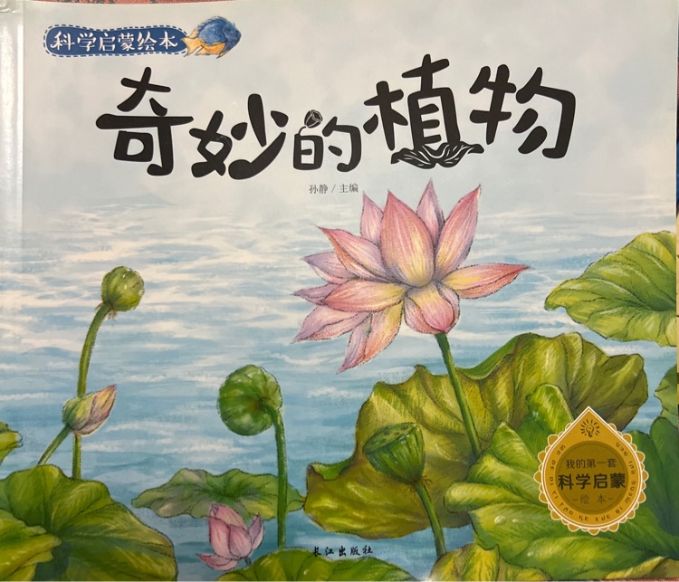 科學(xué)啟蒙繪本-奇妙的植物