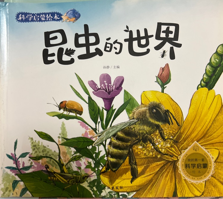 科學(xué)啟蒙繪本-昆蟲的世界