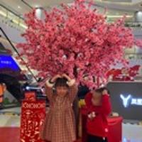 深圳調(diào)琴師