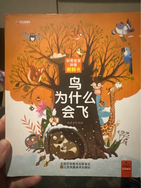 鳥為什么會飛