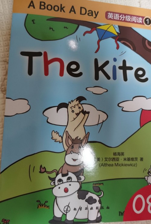 the kite(a book a day)