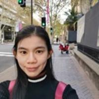 我的小粽子