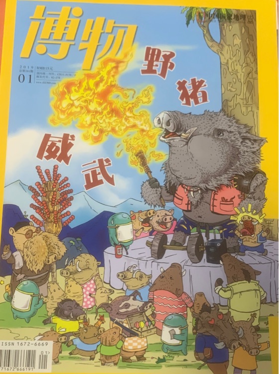 博物2019.01野豬威武