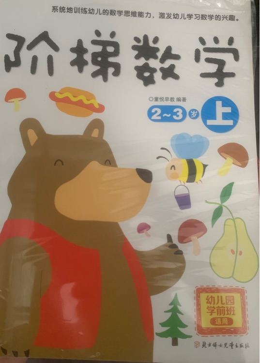 階梯數(shù)學(2-3歲上幼兒園學前班適用)