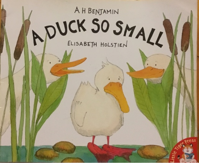 A DUCK SO SMALL