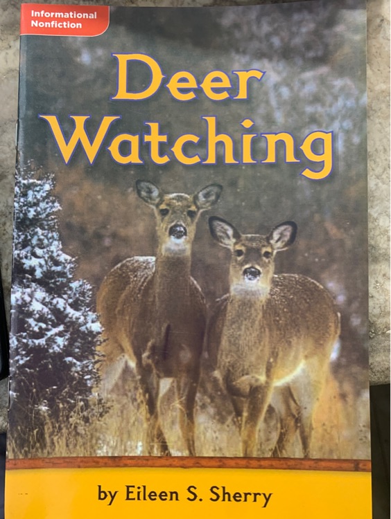 Deer Watching