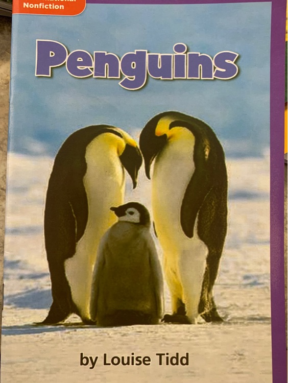 Penguins (Informational Nonfiction; Science)