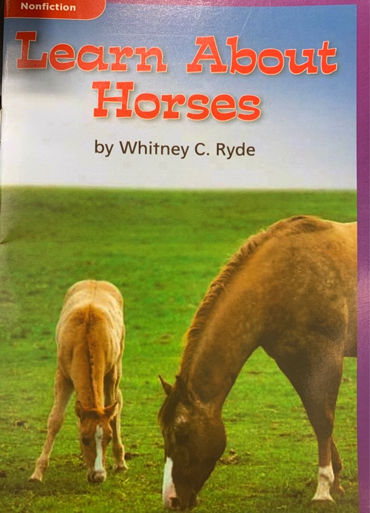 Learn About Horses