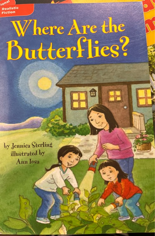 Where Are the Butterflies?