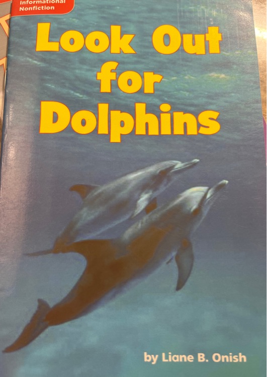 Look Out for Dolphins