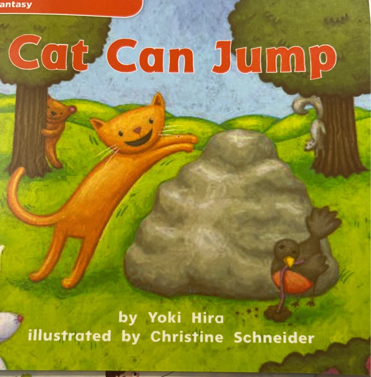 Cat can jump